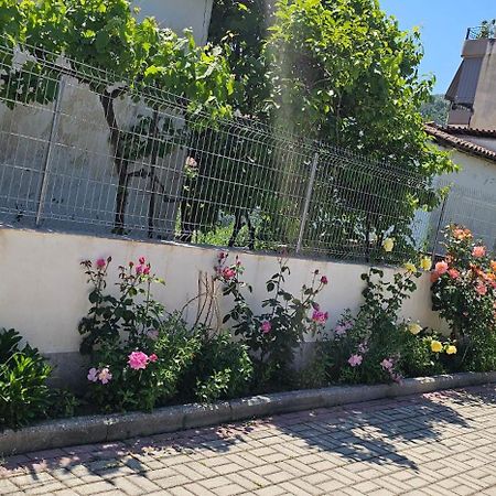 Aliaj Guest House Berati Exterior foto