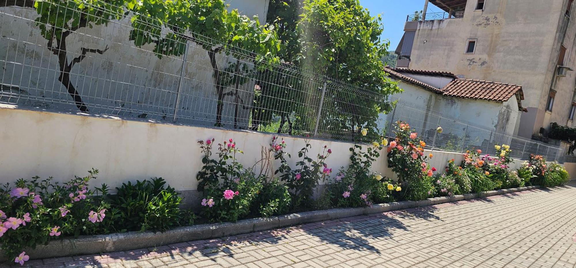 Aliaj Guest House Berati Exterior foto